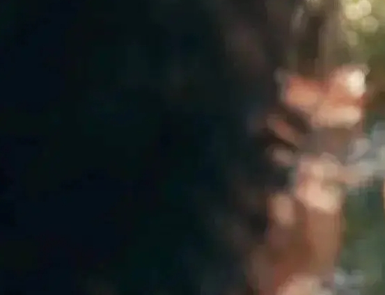 《嫉妒是人生的毒药》