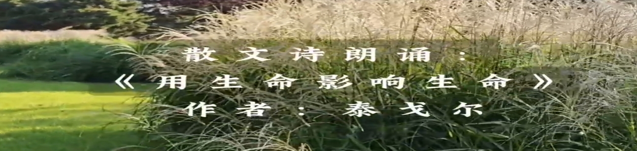 全人教育儿童散文诗朗诵一